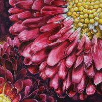 Stokrotki 35x50cm Olej na płótnie